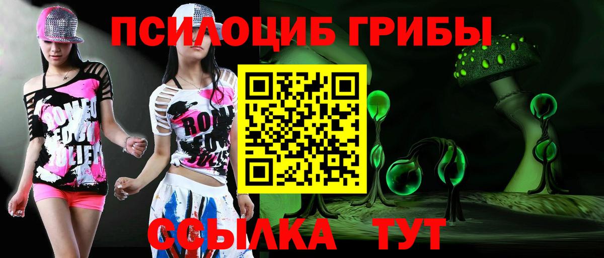 Галлюциногенные грибы прущие грибы  Вход с VPN  Артём 