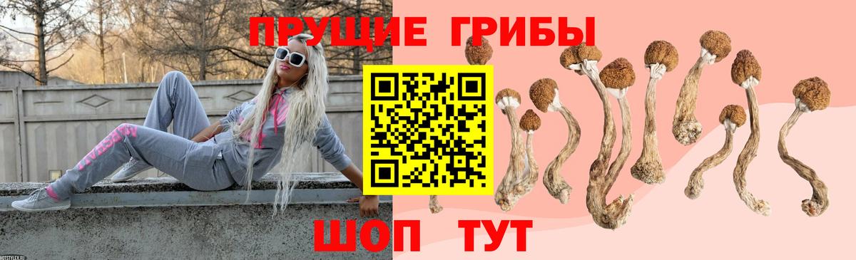 Галлюциногенные грибы прущие грибы Артём